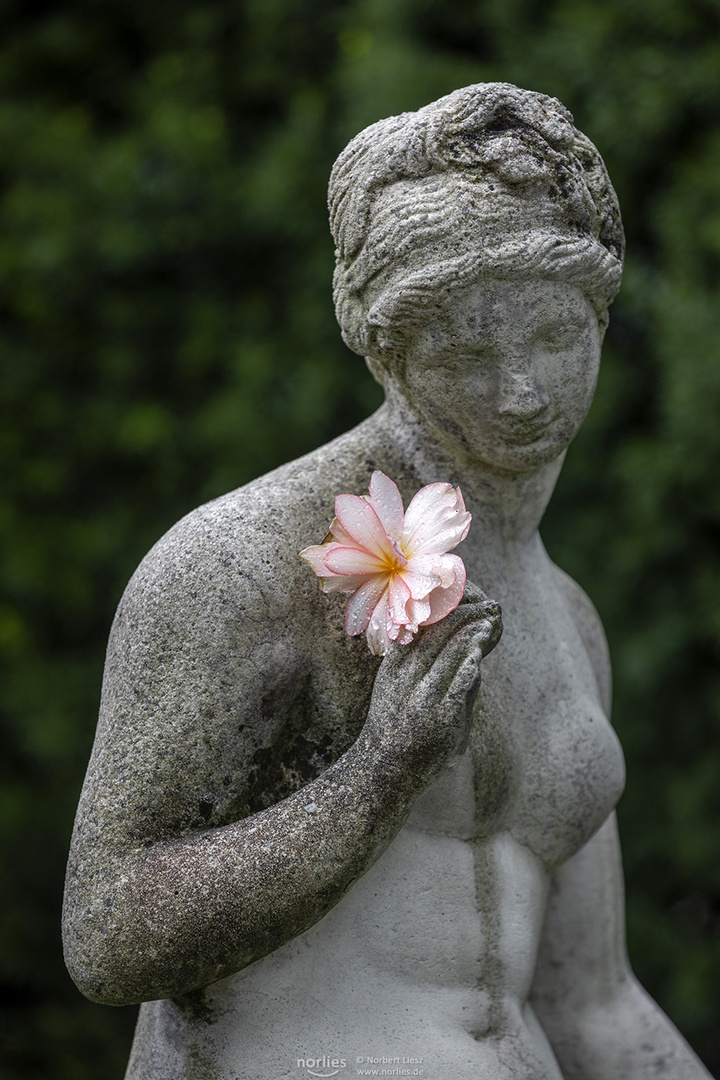 Blüte mit Skulptur