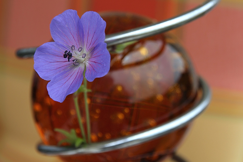 Blüte und Glaskugel