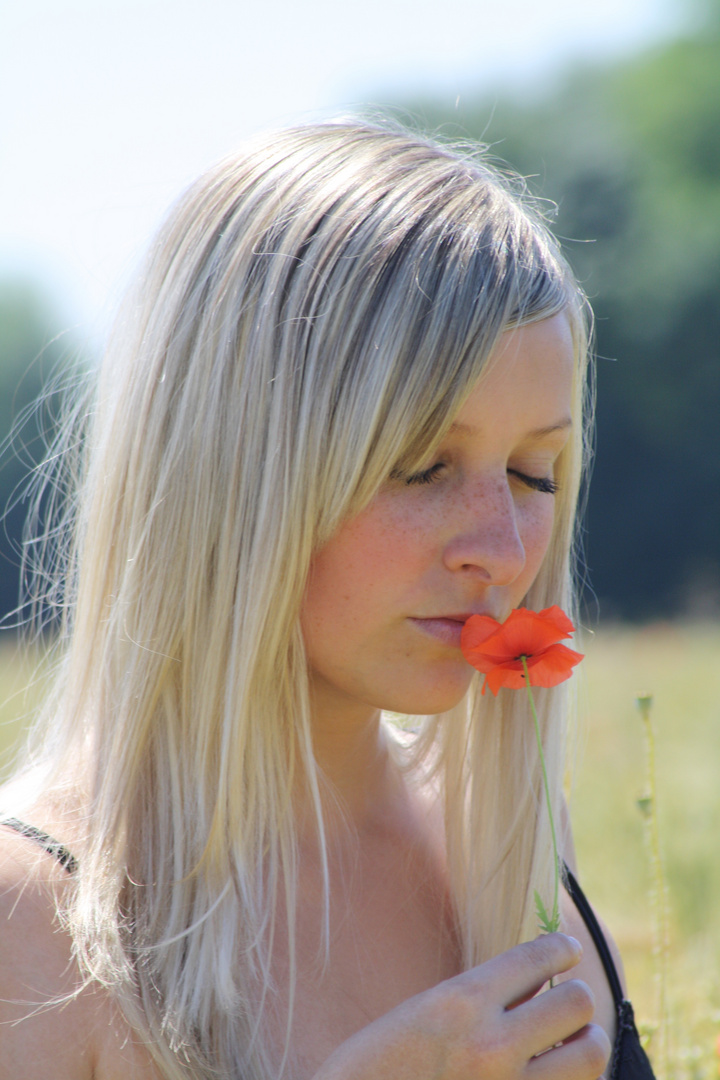 ....Blüte vom wilden Mohn...