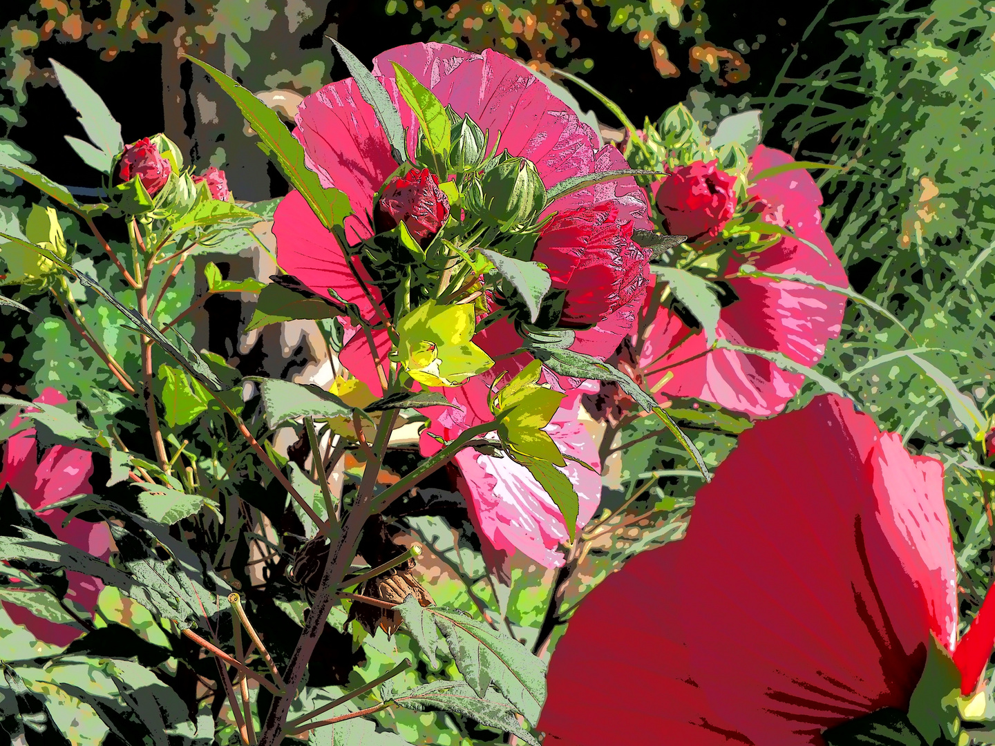 Blüte zwischen Sommer und Herbst (1)