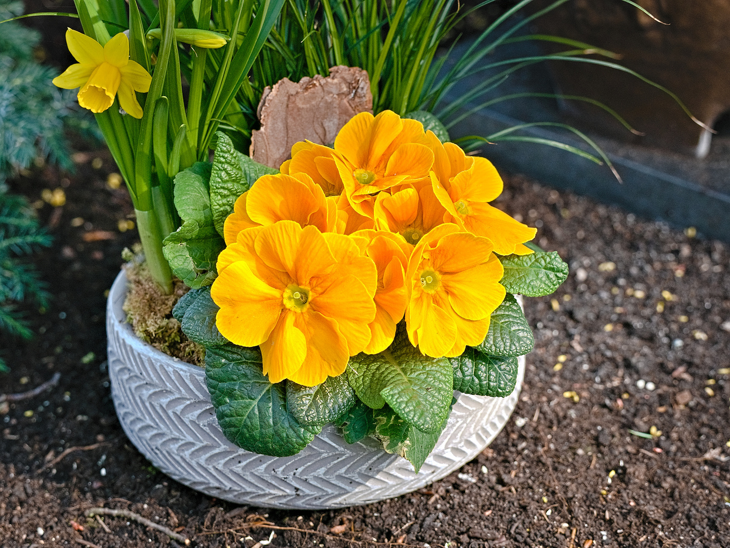 Blüten auf unserem Friedhof