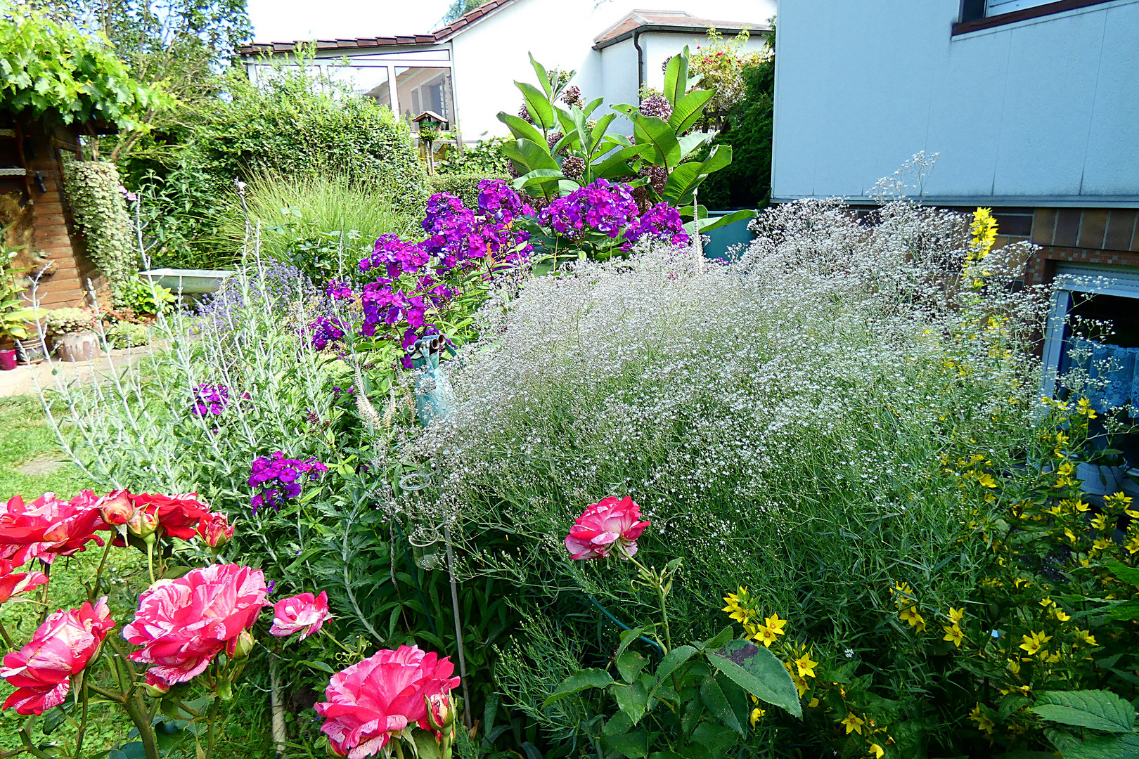 Blüten im Garten