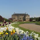 Blüten im Großen Garten