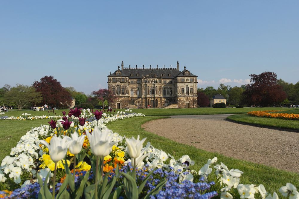 Blüten im Großen Garten