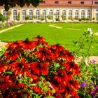 Blüten im Hofgarten