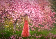 Blüten in Hülle und Fülle