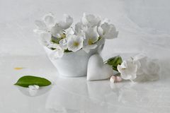 Blüten in Weiss