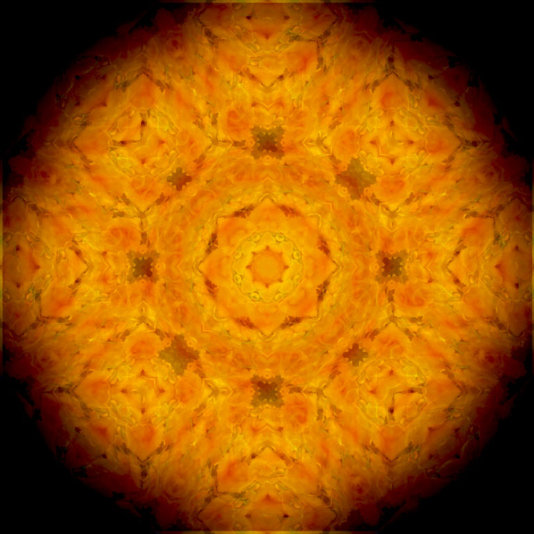 Blüten-Kaleidoskop