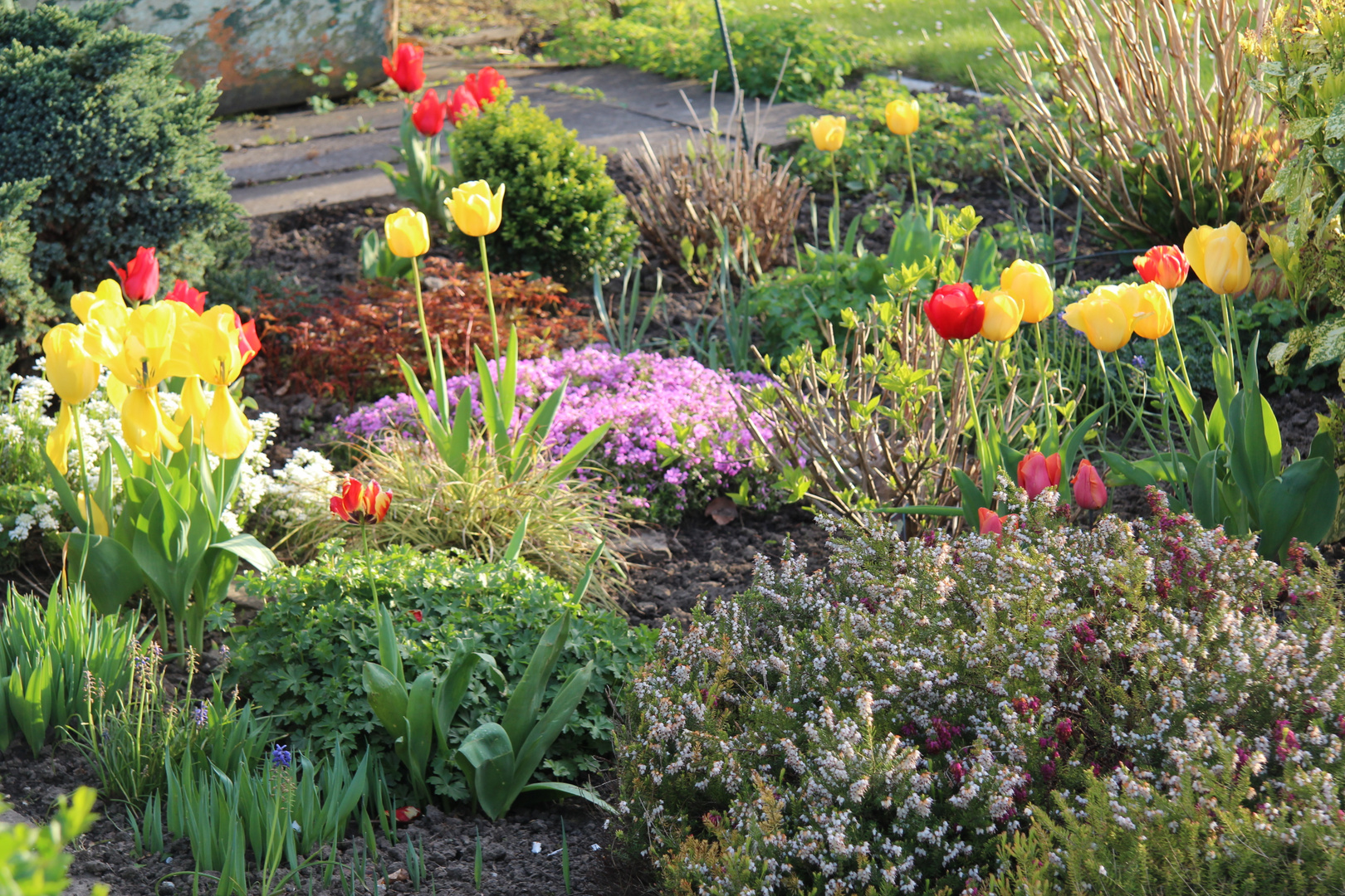 Blüten Mischung Frühjahr 2014