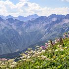 Blüten mit Aussicht