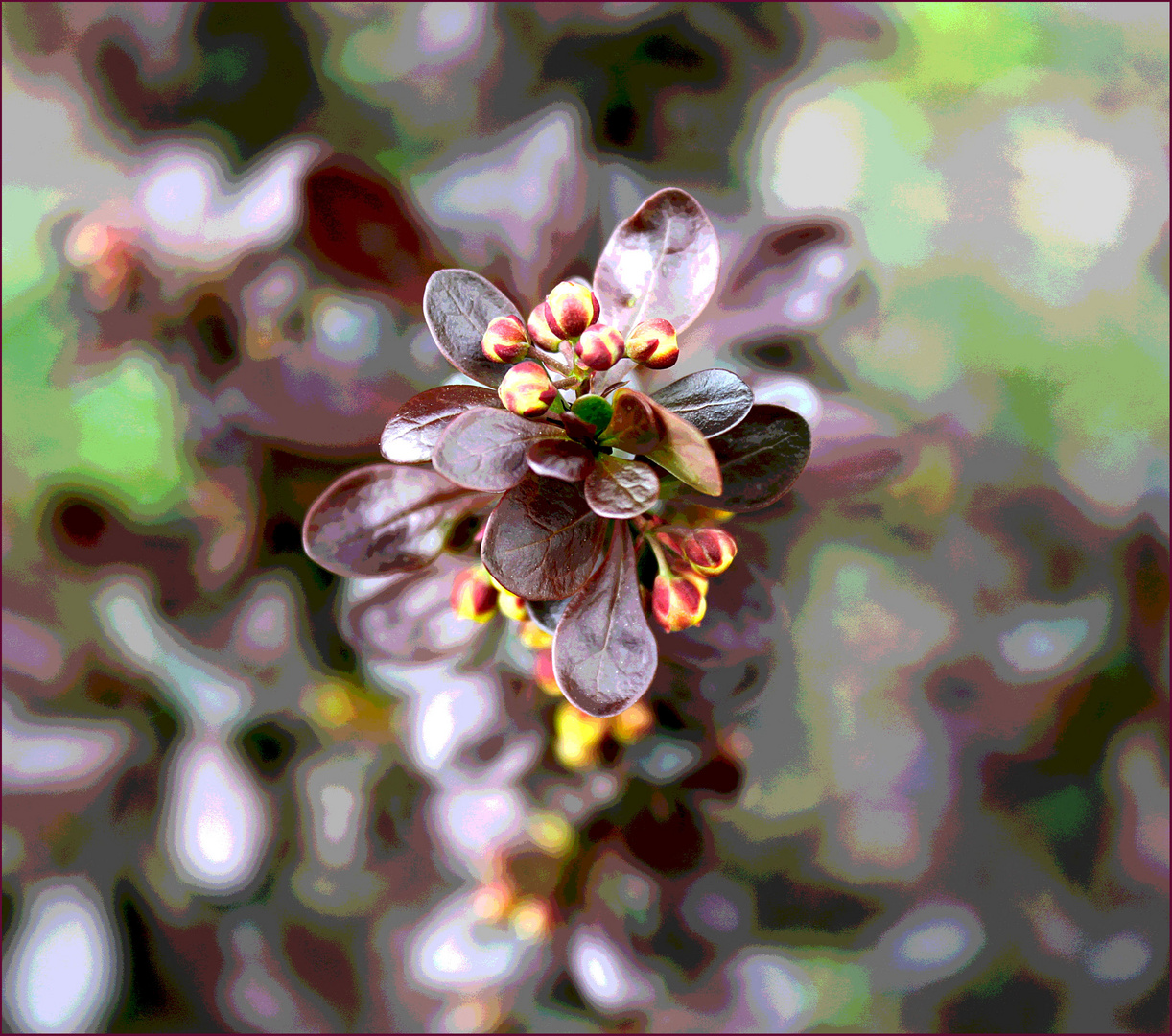 Blüten - Rausch