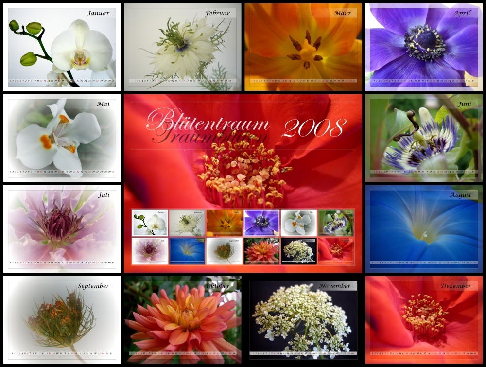 Blüten-Traum-Blüten 2008