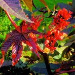 Blüten und Blätter im Sonnenlicht