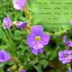 Blüten und Lyrik - kleines blaues Blümchen