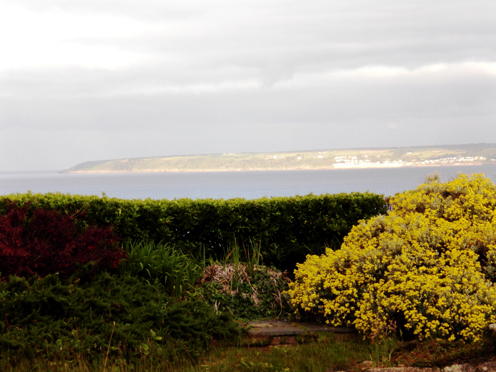 Blüten und Meer