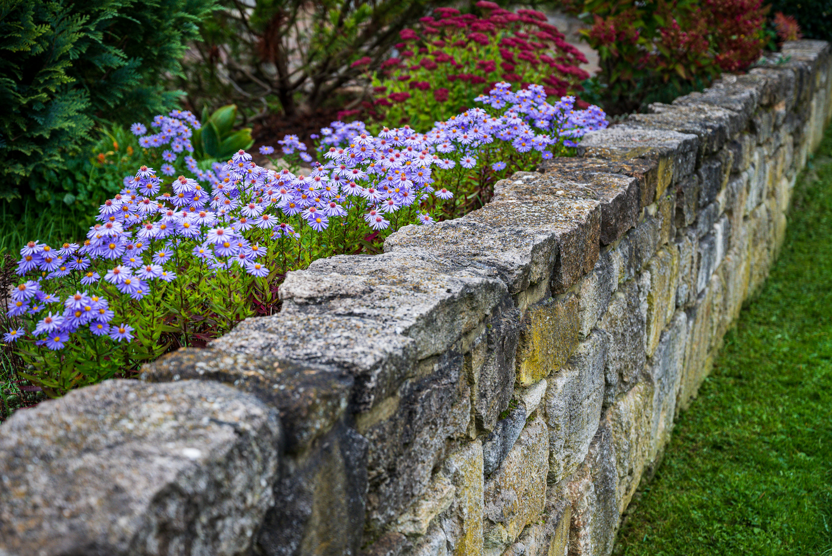 Blüten und Steine