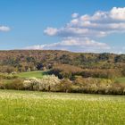 Blüten und Wolken