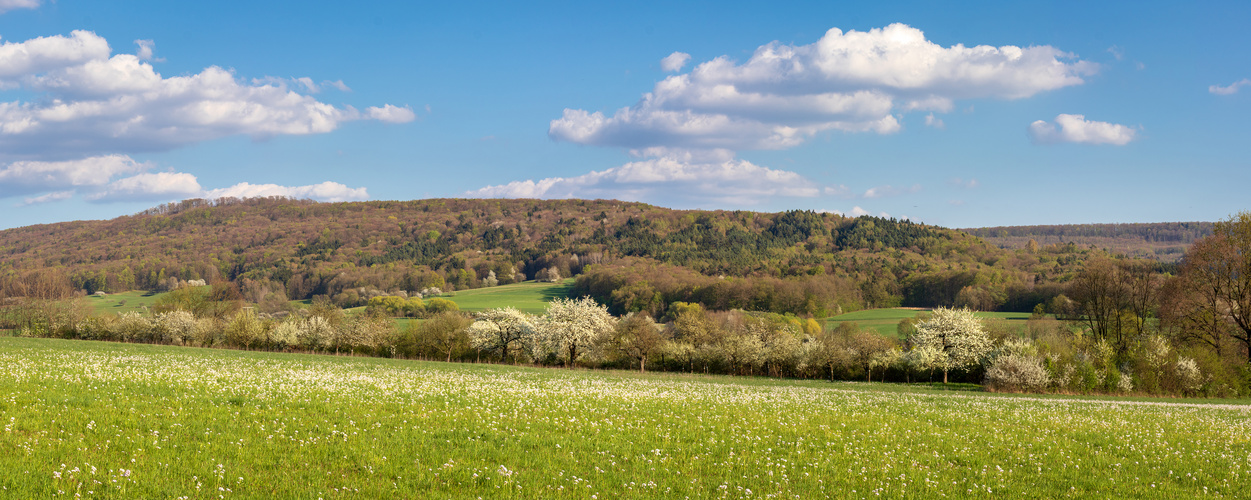 Blüten und Wolken