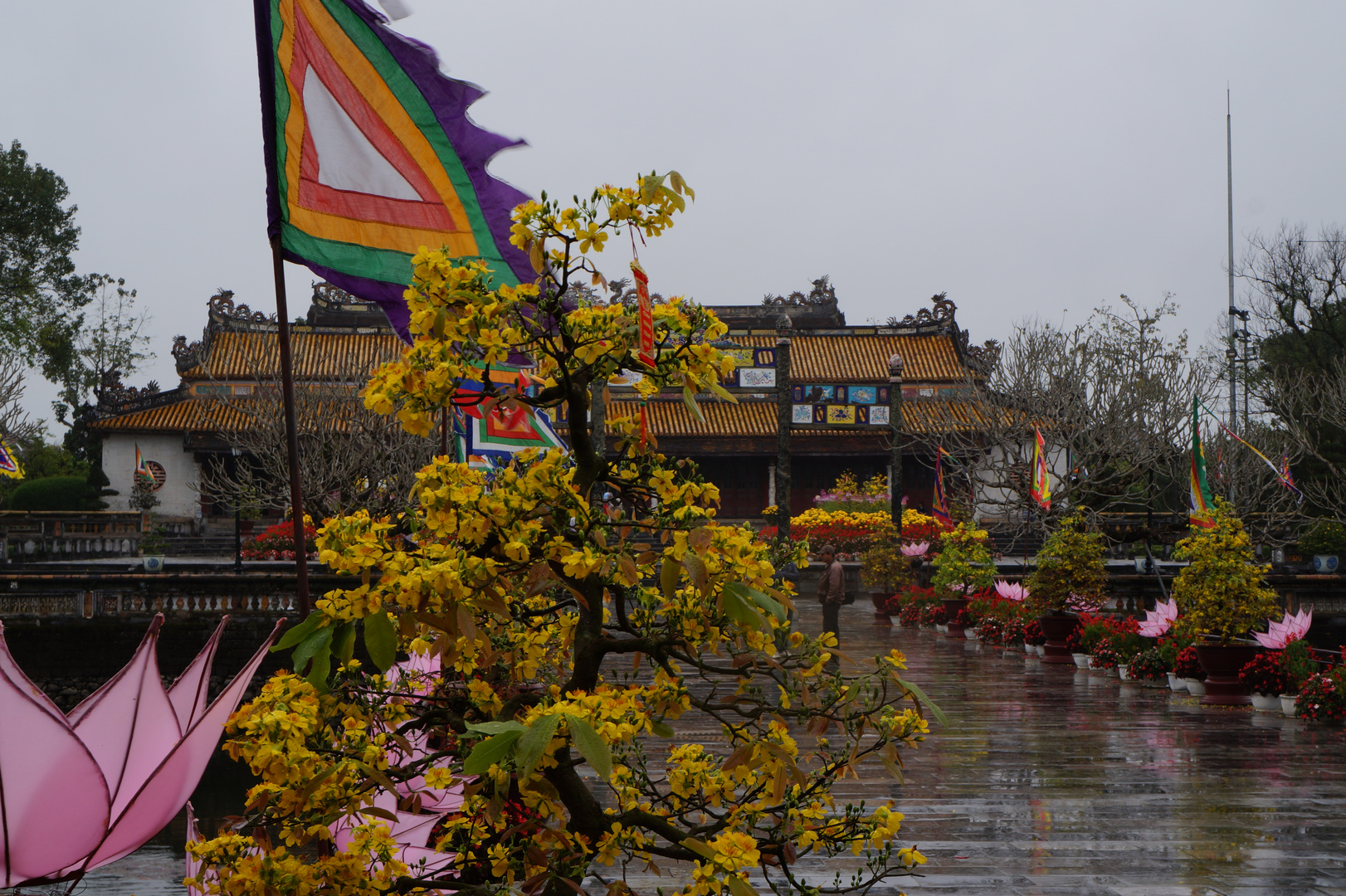 Blüten vor dem Tempel