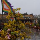 Blüten vor dem Tempel