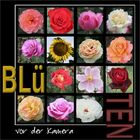 Blüten vor der Kamera