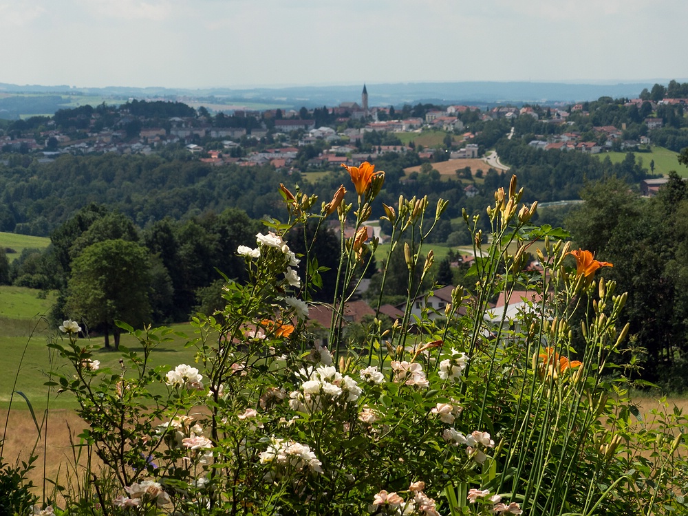 Blüten vor Hauzenberg