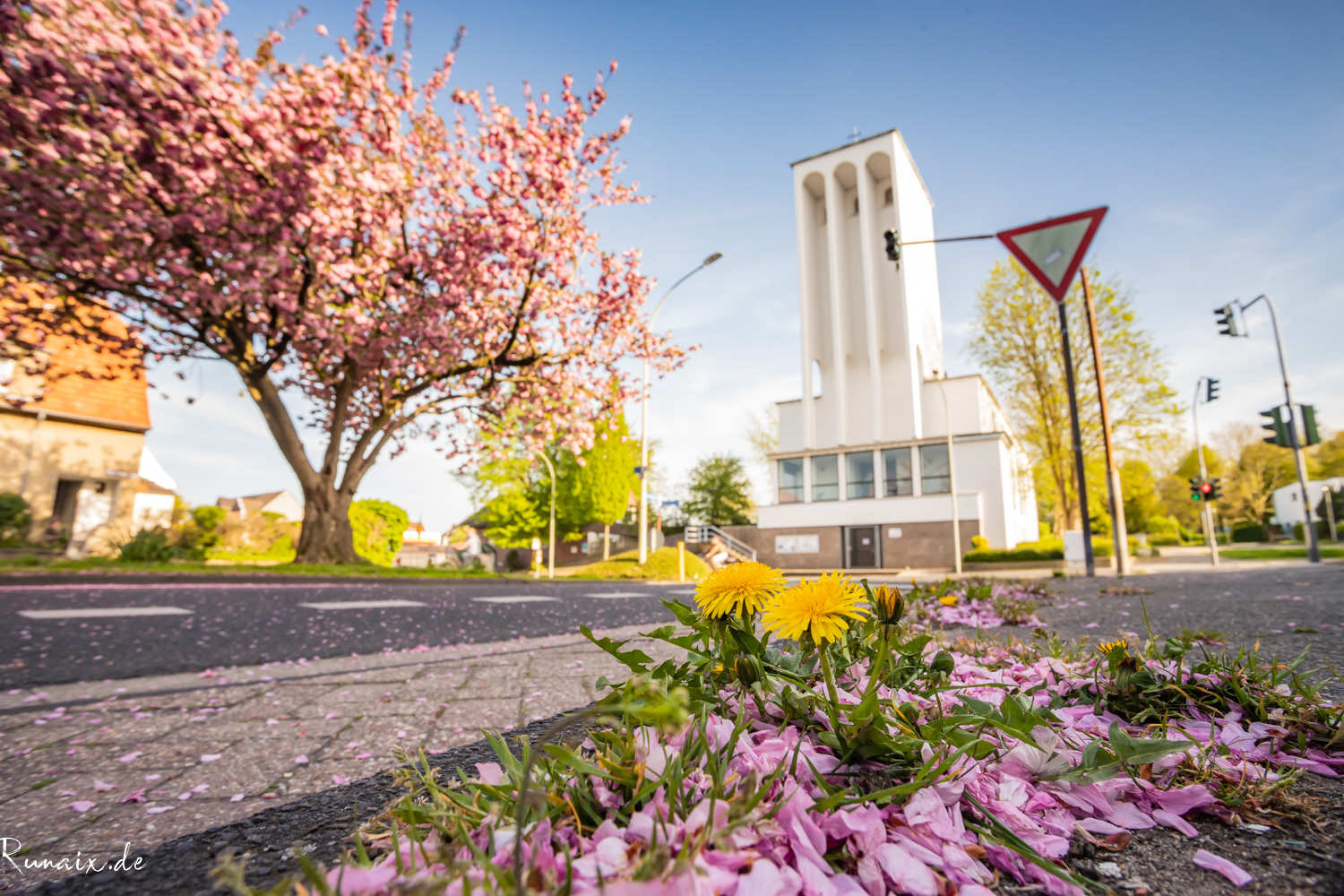 Blütenallee in Übach-Palenberg