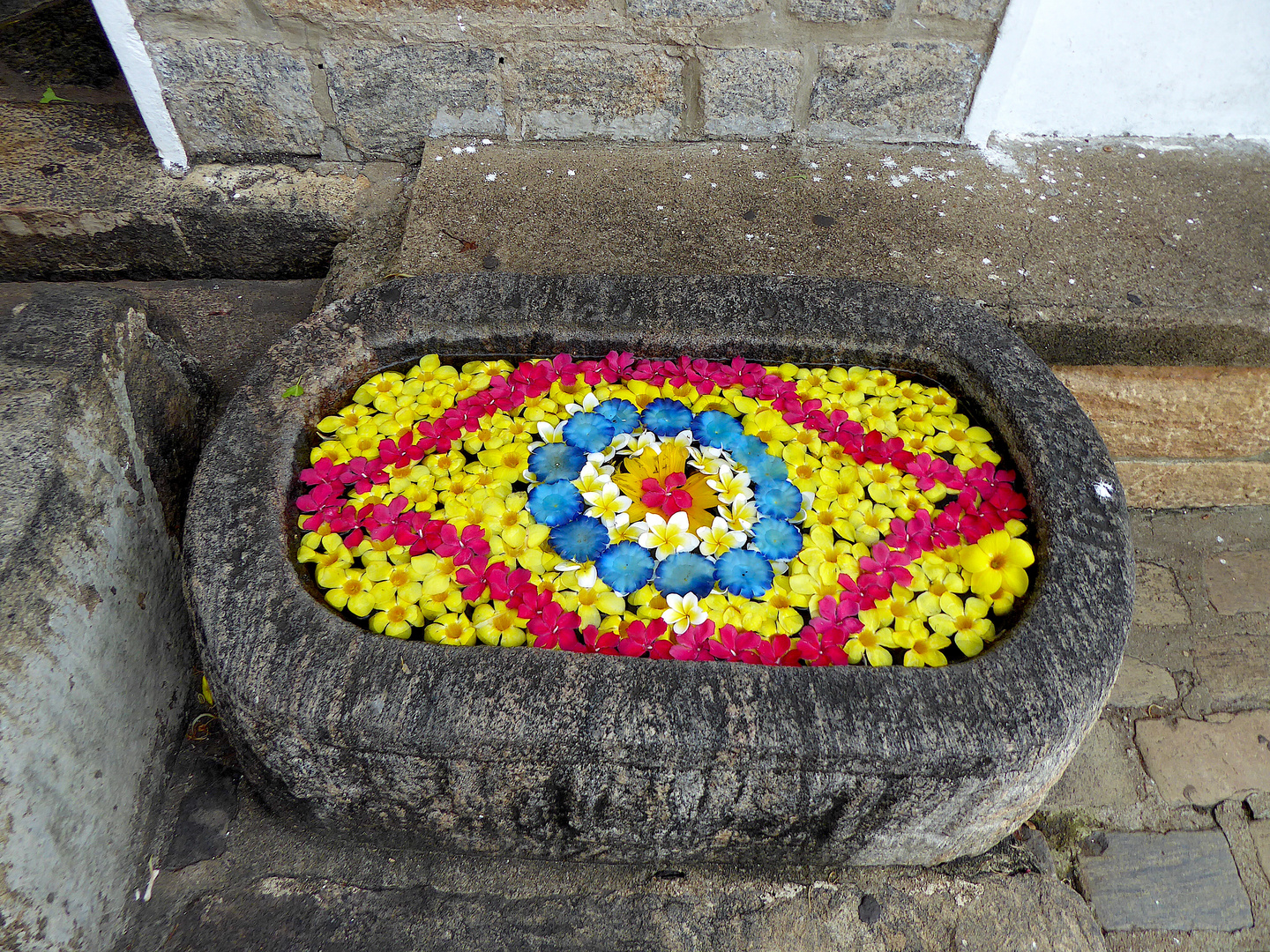 Blütenbild im Brunnen vor den Tempelhöhlen in Dambulla 