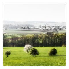 .BlütenBlick.