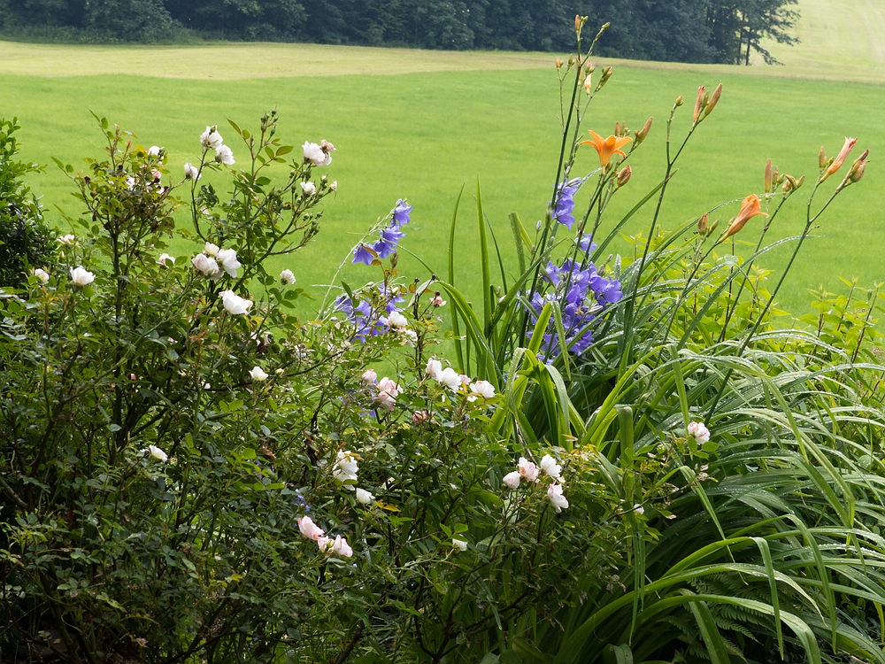 Blütenbunt am Wegeskreuz