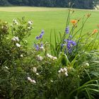 Blütenbunt am Wegeskreuz