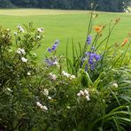 Blütenbunt am Wegeskreuz