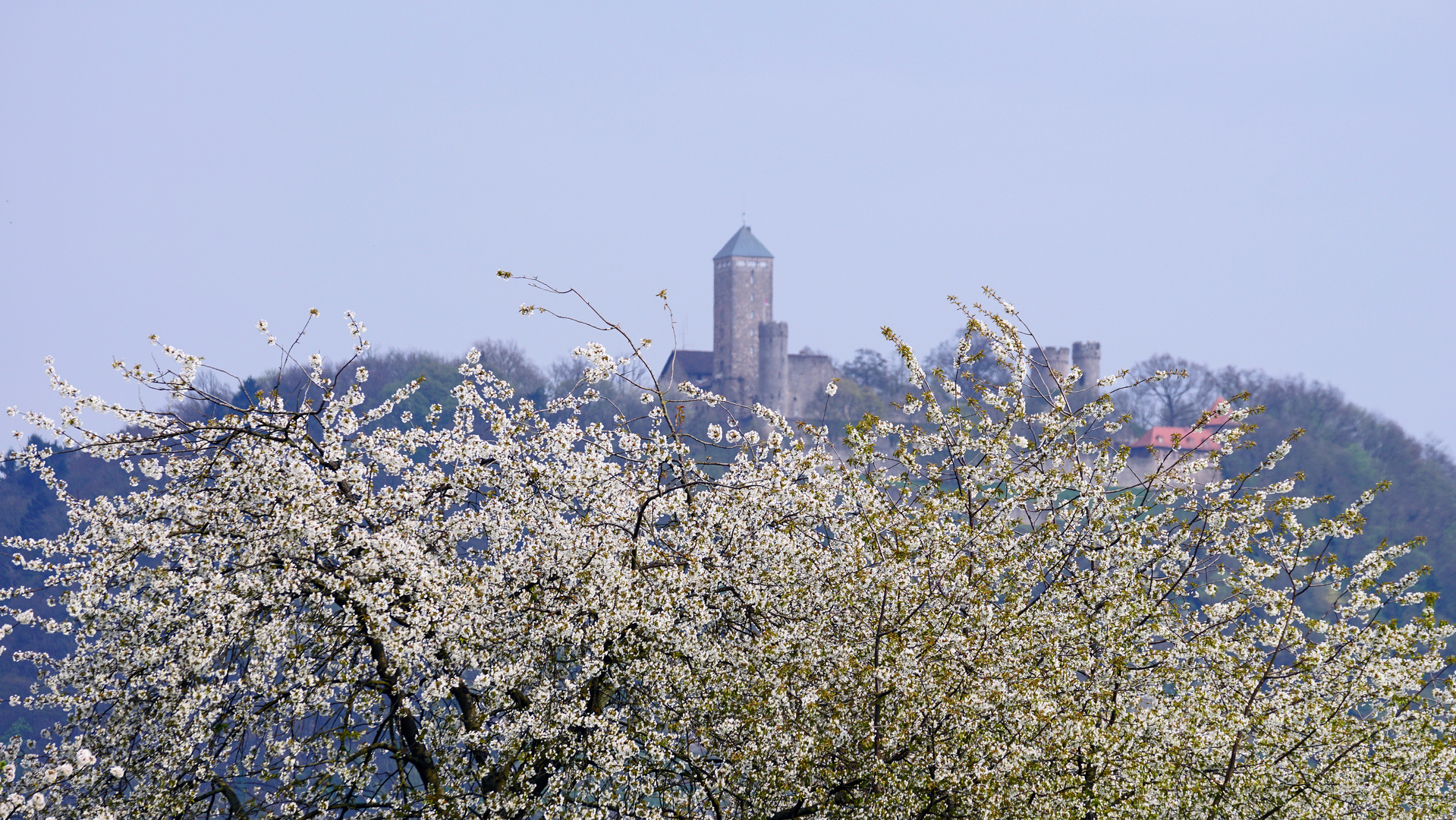 Blütenburg