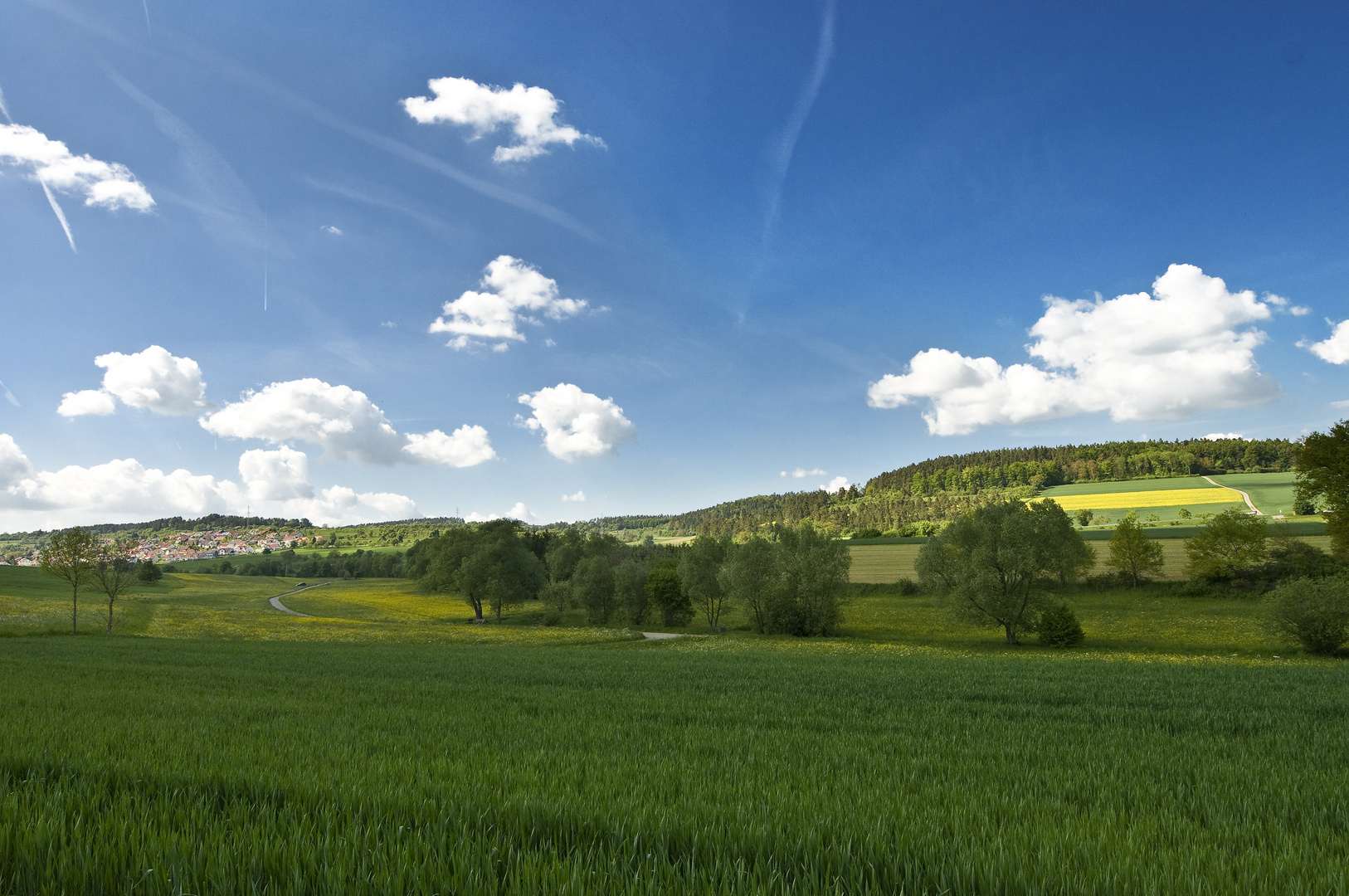 Blütenduft und Schäfchenwölkchen