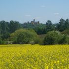 Blütenfeld vor dem Schloss