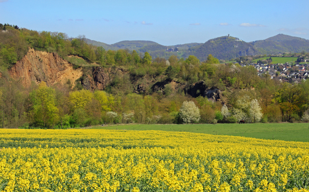 Blütenfrühlings-Landschaftsblick!