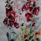 Blütenkerzen des Fingerhuts (Digitales)