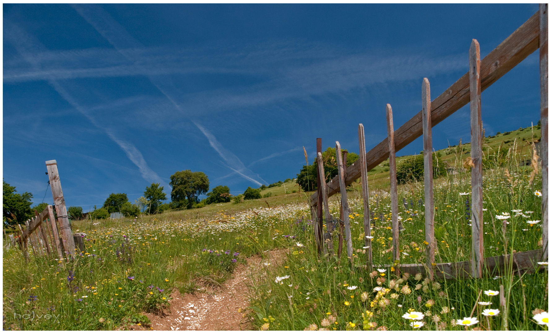 Blütenmeer am Monte Baldo