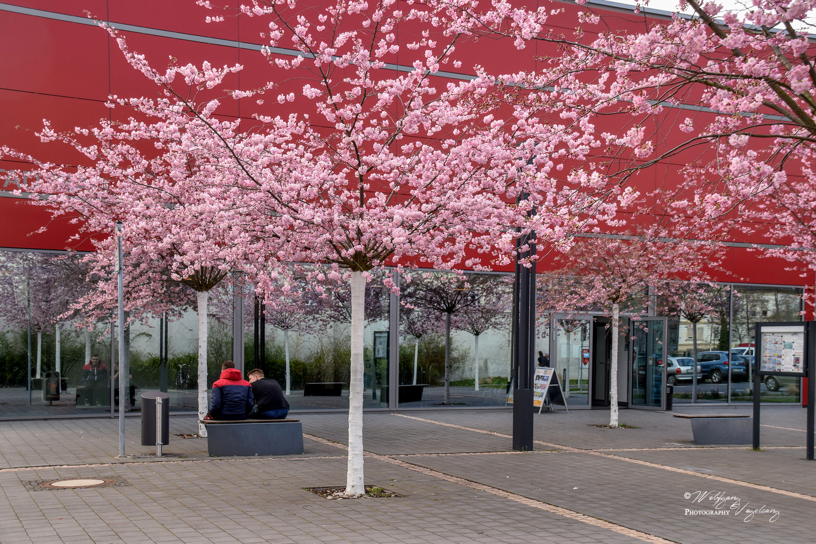 Blütenmeer am Stadtbad