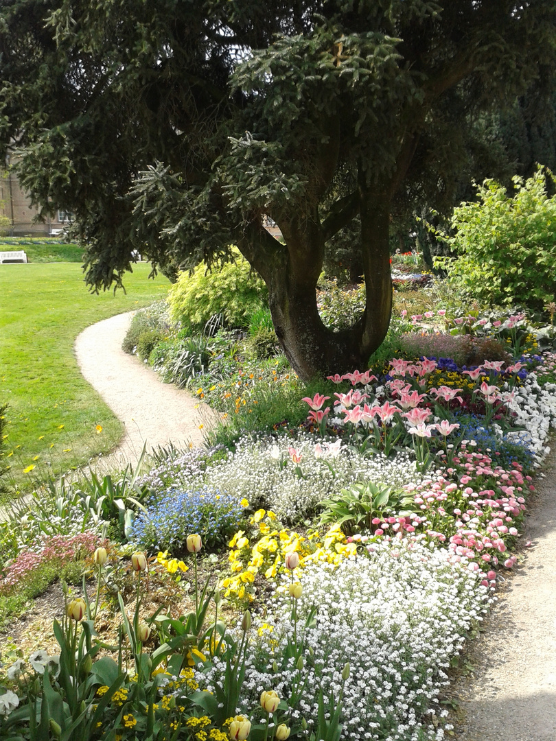 Blütenmeer im Schlosspark