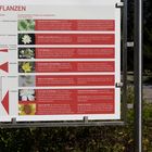 Blütenpflanzen-Infotafel