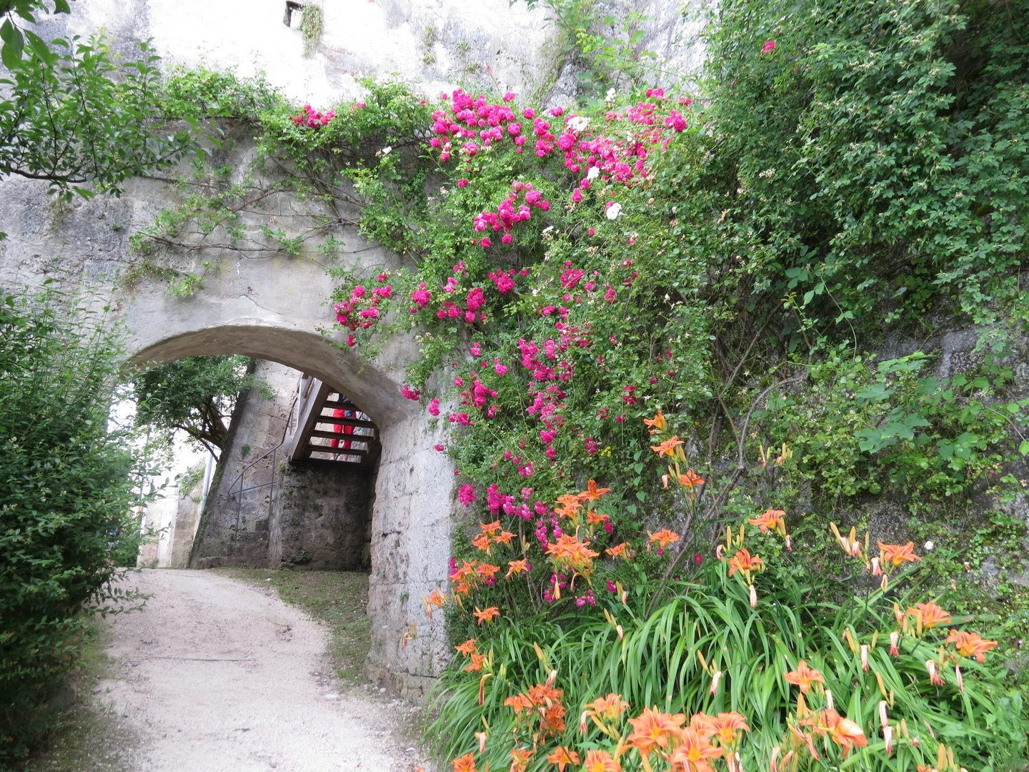 Blütenpracht auf der burghauser Burg