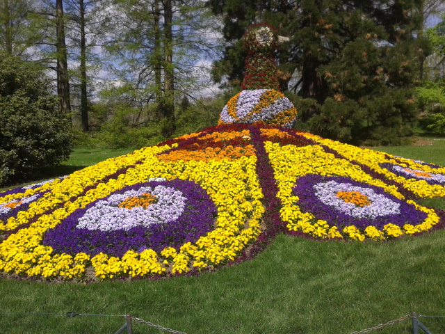 Blütenpracht auf der Insel Mainau