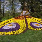 Blütenpracht auf der Insel Mainau