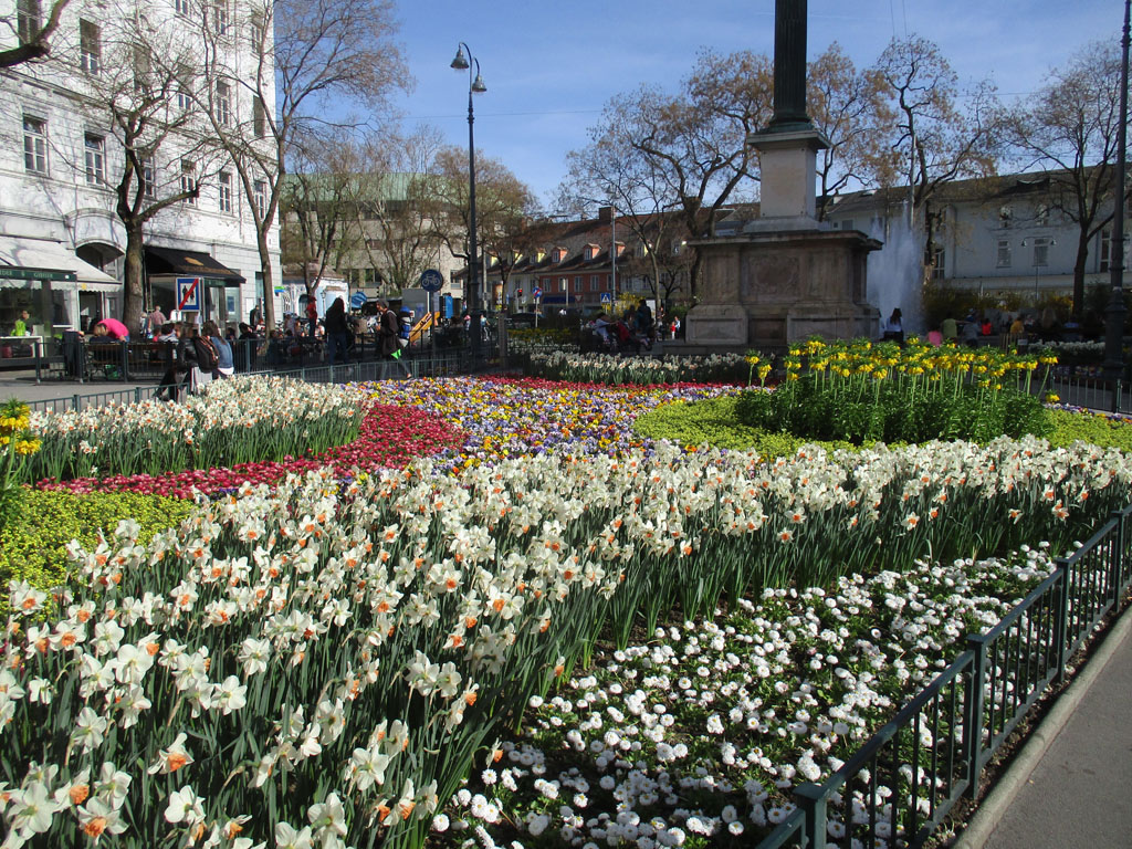 Blütenpracht Gestern am eisernen Tor , Graz, Foto & Bild | pflanzen ...