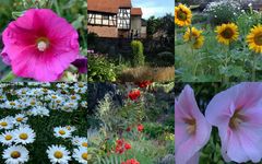 -Blütenpracht im Bauerngarten-