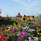 Blütenpracht im Bürgermeistergarten