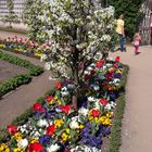 Blütenpracht im Klostergarten von Seligenstadt