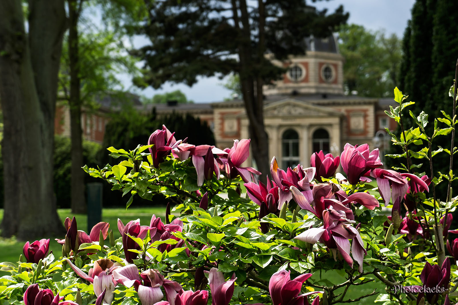 Blütenpracht im Kurpark