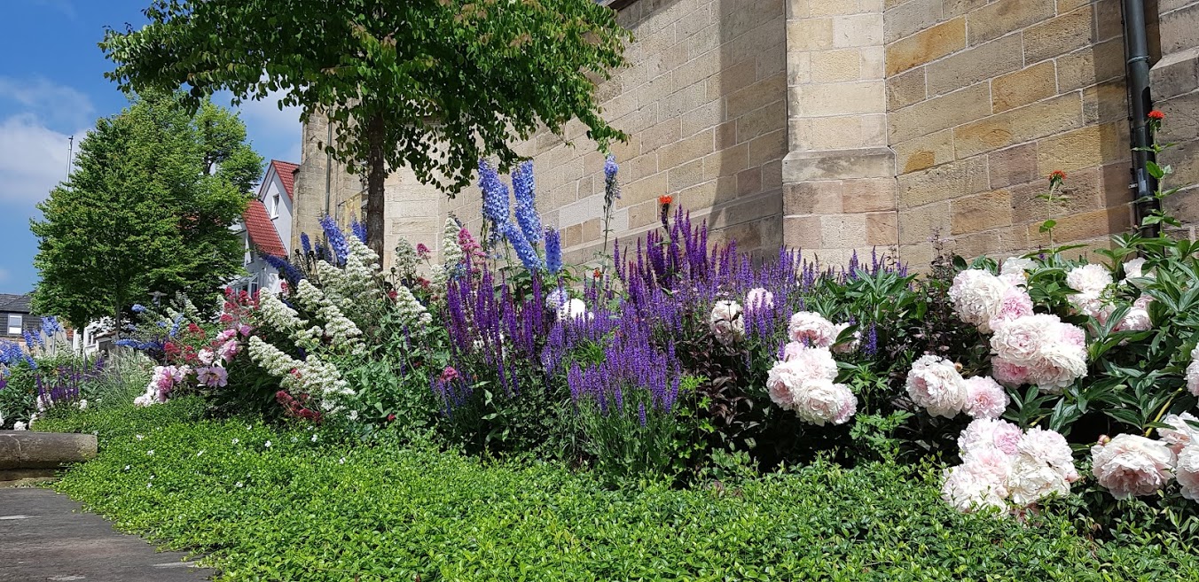 Blütenpracht in der Cityt meiner Heimatstadt Bad Driburg